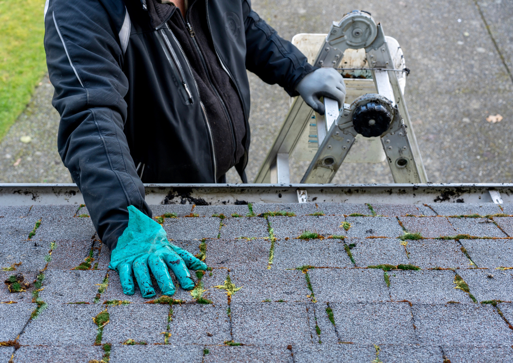 Man on top of a ladder cleaning moss and dirt from the top of a shingle roof
